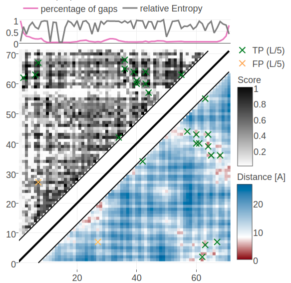 Contact maps predicted for protein 1c75A00. Upper left matrices show predicted contact maps and lower right matrices show the native distance maps. Top Left Contact map computed from probabilities of contacts as given by random forest model that has been trained on sequence features and pseudo-likelihood contact scores Top Right Contact map computed from posterior probability estimates given by Bayesian model utilizing a three component Gaussian mixture model and is based on pseudo-likelihood couplings. Bottom Left Contact map computed from log likelihood of contacts according to the Bayesian model utilizing a three component Gaussian mixture model and is based on pseudo-likelihood couplings. Bottom Right Contact map computed from probabilities of contacts as given by random forest model that has been trained on sequence features only.