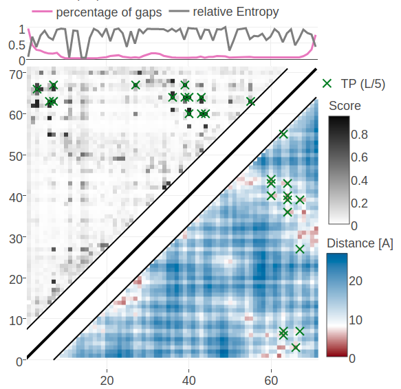 Contact maps predicted for protein 1c75A00. Upper left matrices show predicted contact maps and lower right matrices show the native distance maps. Top Left Contact map computed from probabilities of contacts as given by random forest model that has been trained on sequence features and pseudo-likelihood contact scores Top Right Contact map computed from posterior probability estimates given by Bayesian model utilizing a three component Gaussian mixture model and is based on pseudo-likelihood couplings. Bottom Left Contact map computed from log likelihood of contacts according to the Bayesian model utilizing a three component Gaussian mixture model and is based on pseudo-likelihood couplings. Bottom Right Contact map computed from probabilities of contacts as given by random forest model that has been trained on sequence features only.