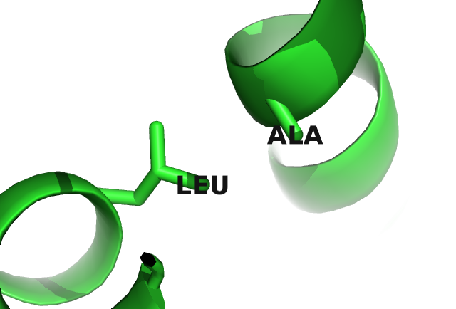 Interactions between protein side chains. Left: Glutamic acid (residue 6) forms a salt bridge with arginine (residue 82) in the carbamoyl phosphate synthetase protein (PDB id 1a9x_A domain 5). Right: Alanine (residue 29) and lysine (residue 39) within the hydrophobic core of the lambda integrase protein (PDB id 1ae9_A).