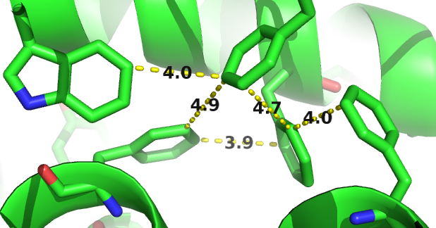 Peculiarities of aromatic residues. Left The planar ring system of aromatic sidechains at short \(\Cb\)-\(\Cb\) distances (e.g. \(\Delta \Cb < 5 \angstrom\)) often points away from each other to avoid steric hindrance. Right Network-like structure of aromatic residues in the protein core. 80% of aromatic residues are involved in such networks that are important for protein stability [189].