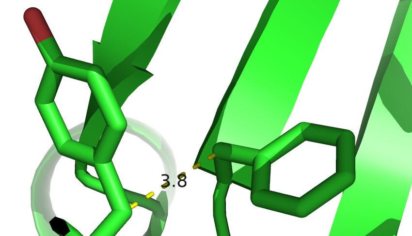 Peculiarities of aromatic residues. Left The planar ring system of aromatic sidechains at short \(\Cb\)-\(\Cb\) distances (e.g. \(\Delta \Cb < 5 \angstrom\)) often points away from each other to avoid steric hindrance. Right Network-like structure of aromatic residues in the protein core. 80% of aromatic residues are involved in such networks that are important for protein stability [189].