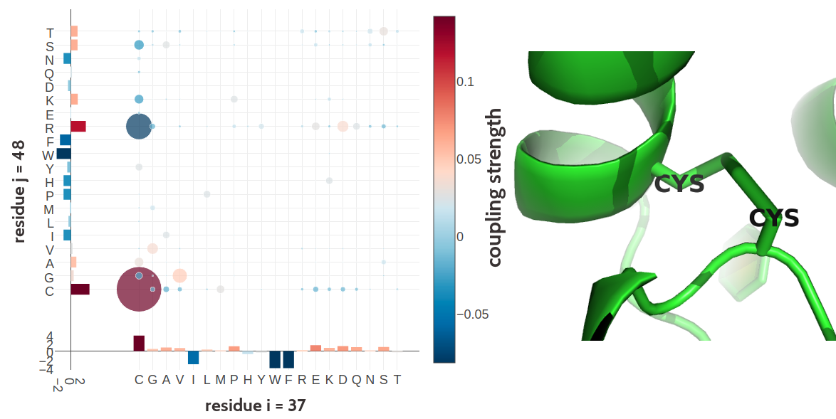 Two cystein residues (residues 54 and 64) forming a covalent disulfide bond in human interleukin-6 (PDB id 1alu_A). Left Coupling matrix \(\wij\) for residue \(i\eq54\) and residue \(j\eq64\). The matrix shows the 20x20 couplings \(\wijab\). Bars at the x-axis and y-axis correspond to the Potts model single potentials \(\vi\) and \(\vj\) respectively. Color coding is the same as in Figure 2.7 Right Difulfide bond between the cystein residues 54 and 64 in the structure.