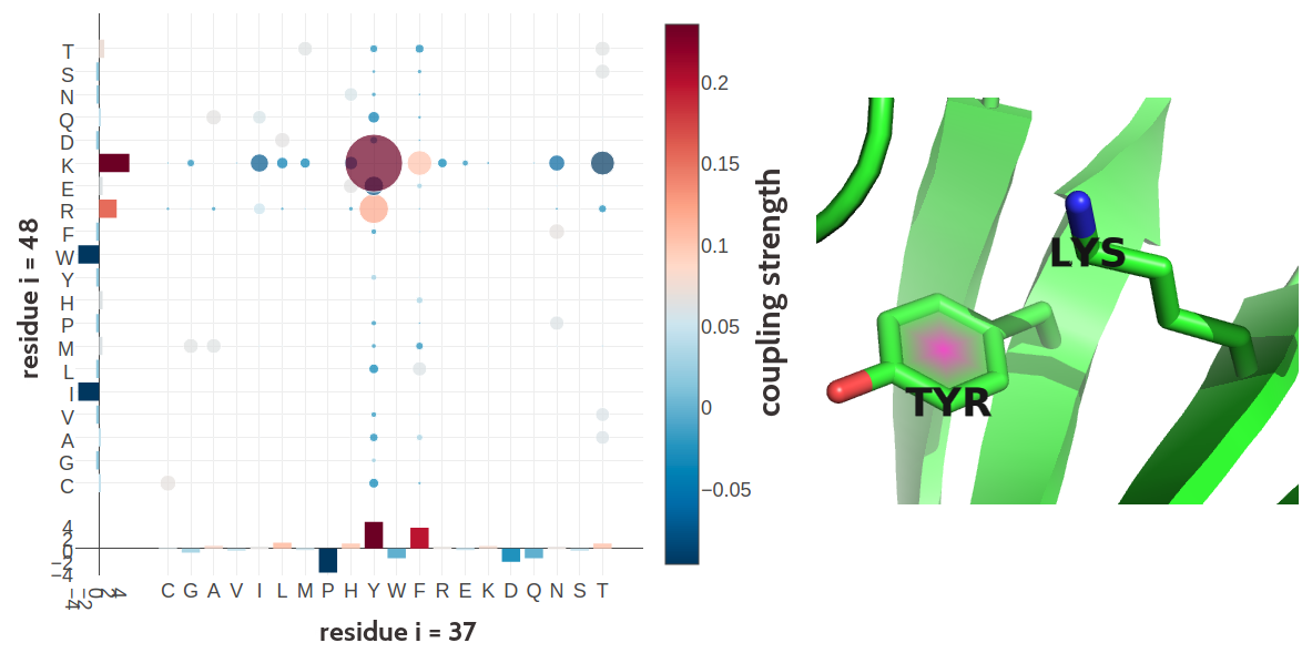 Tyrosine (residue 37) and Lysine (residue 48) forming a cation-\(\pi\) interaction in the C-terminal WRKY domain of Arabidopsis thaliana (PDB id 2ayd_A). Left Coupling matrix \(\wij\) for residue \(i\eq37\) and residue \(j\eq48\). The matrix shows the 20x20 couplings \(\wijab\). Bars at the x-axis and y-axis correspond to the Potts model single potentials \(\vi\) and \(\vj\) respectively. Color coding is the same as in Figure 2.7 Right Cation-\(\pi\) interaction between Tyrosine (residue 37) and Lysine (residue 48).