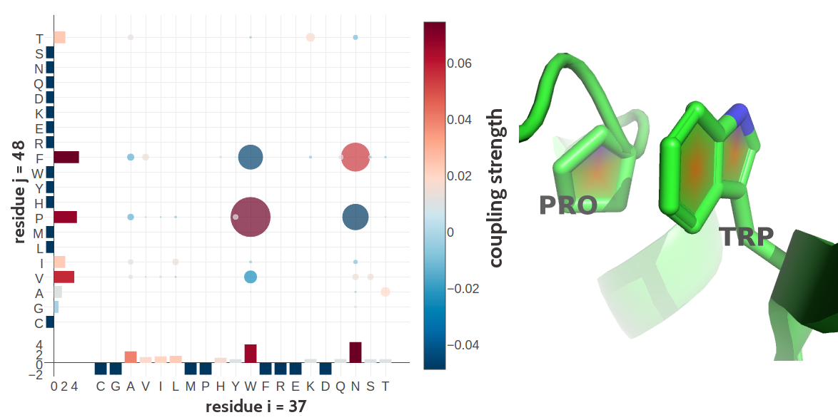 Proline and tryptophan (residues 17 and 34) forming such a CH/\(\pi\) interaction in the murine leukemia virus receptor-binding glycoprotein (PDB id 1aol_A). Left Coupling matrix \(\wij\) for residue \(i\eq17\) and residue \(j\eq34\). The matrix shows the 20x20 couplings \(\wijab\). Bars at the x-axis and y-axis correspond to the Potts model single potentials \(\vi\) and \(\vj\) respectively. Color coding is the same as in Figure 2.7 Right Proline (residues 17) and tryptophan (residues 34) stacked on top of each other engaging in a CH/\(\pi\) interaction.