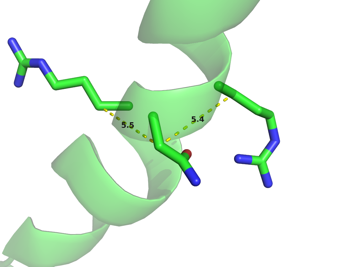 \(\Cb\) distances between neighboring residues in \(\alpha\)-helices. Left: Direct neighbors in \(\alpha\)-helices have \(\Cb\) distances around \(5.4\angstrom\) due to the geometrical constraints from \(\alpha\)-helical architecture. Right: Residues separated by two positions (\(|i-j| = 2\)) are less geometrically restricted to \(\Cb\) distances between \(7\angstrom\) and \(7.5\angstrom\).