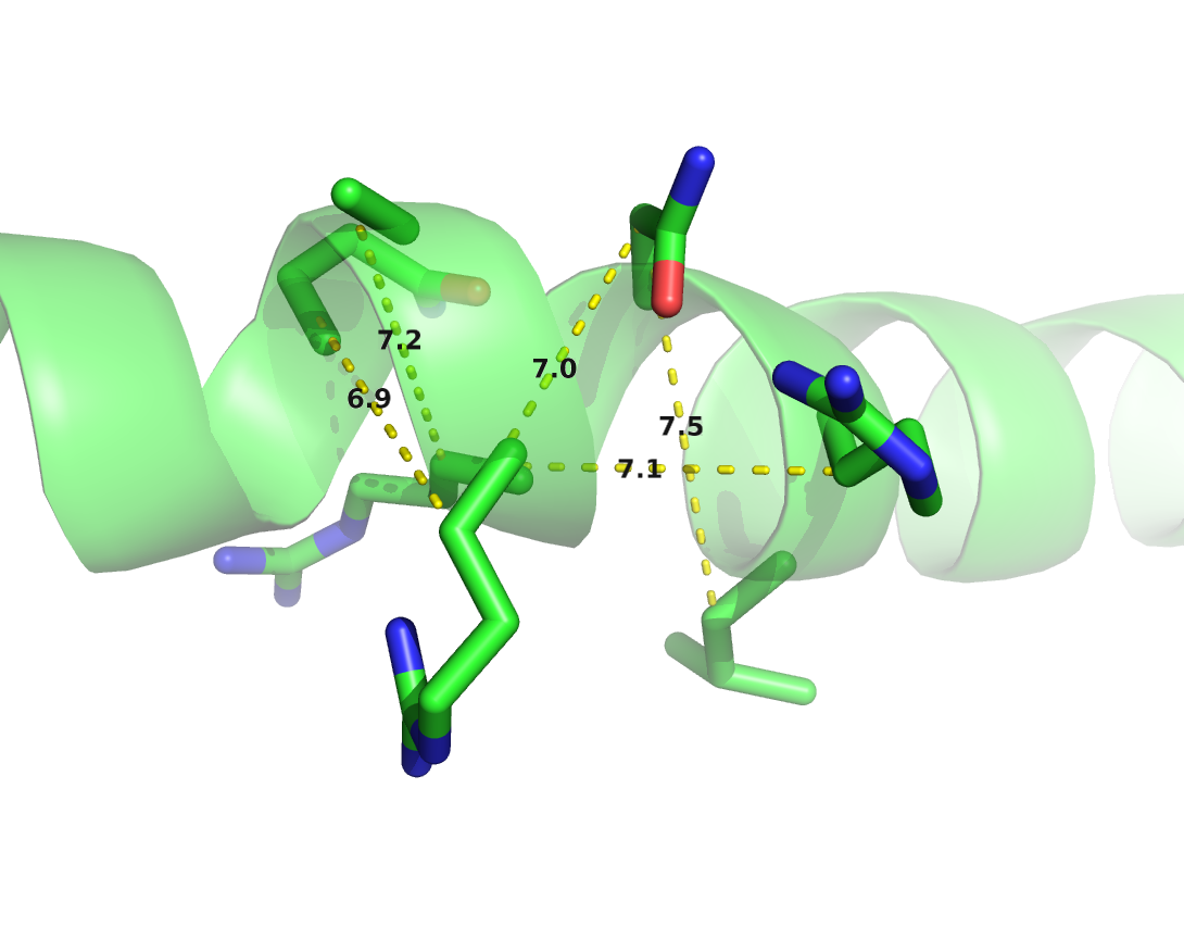 \(\Cb\) distances between neighboring residues in \(\alpha\)-helices. Left: Direct neighbors in \(\alpha\)-helices have \(\Cb\) distances around \(5.4\angstrom\) due to the geometrical constraints from \(\alpha\)-helical architecture. Right: Residues separated by two positions (\(|i-j| = 2\)) are less geometrically restricted to \(\Cb\) distances between \(7\angstrom\) and \(7.5\angstrom\).