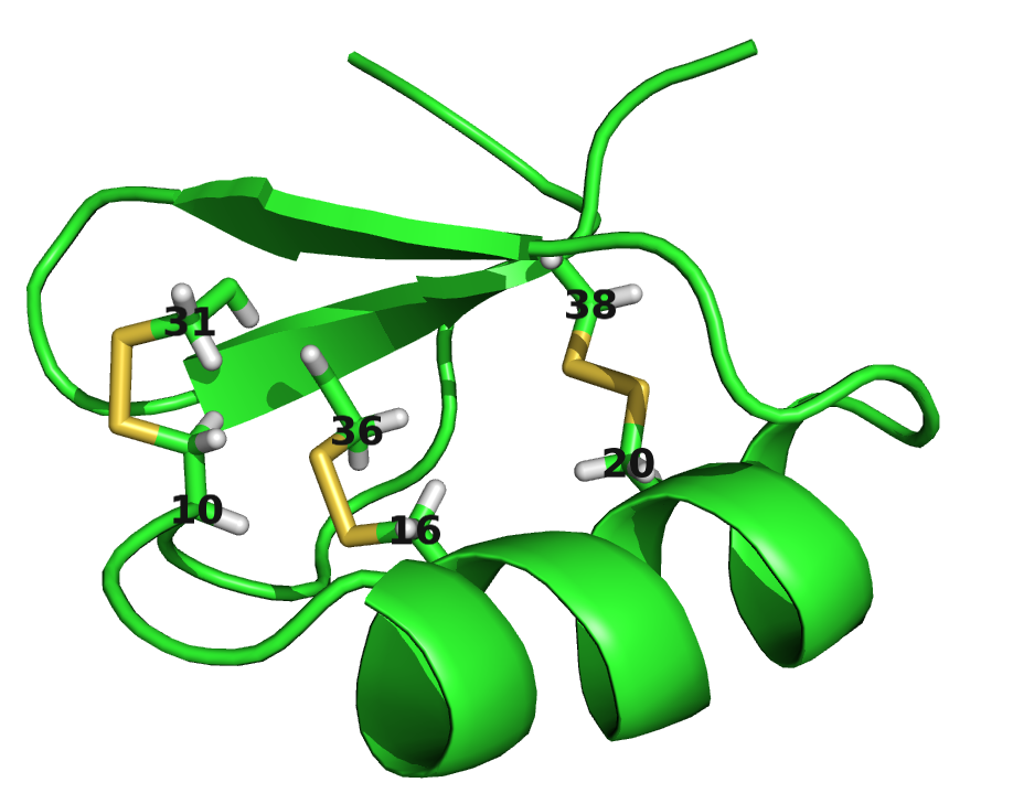 Contact maps and structures for protein 1ss3A00 and 1c55A00. Contact scores have been computed as APC corrected Frobenius norm of the CD couplings. Contacts are defined according to a \(8 \angstrom \Cb\) distance cutoff. Upper left: predicted contact map and native distance map for protein 1ss3A00 (protein length=50, N=42, Neff=36). Upper Right: native protein structure of 1ss3A00 with disulfide bonds between residues pairs (8, 34), (12, 30), (16, 26). Lower Left predicted contact map and native distance map for protein 1c55A00 (protein length=40, N=115, Neff=78) Lower Right native protein structure of 1c55A00 with disulfide bonds between residues pairs (10, 31), (16, 36), (20, 38).