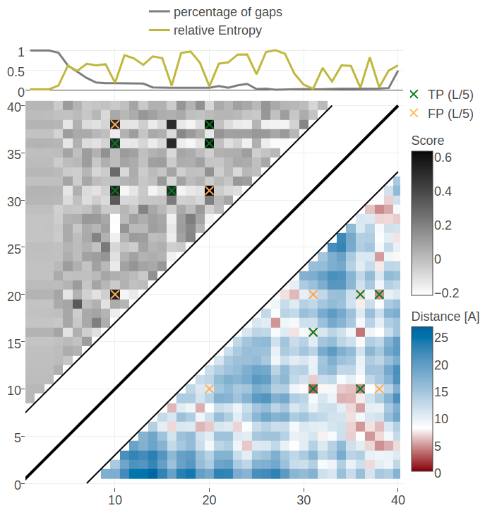 Contact maps and structures for protein 1ss3A00 and 1c55A00. Contact scores have been computed as APC corrected Frobenius norm of the CD couplings. Contacts are defined according to a \(8 \angstrom \Cb\) distance cutoff. Upper left: predicted contact map and native distance map for protein 1ss3A00 (protein length=50, N=42, Neff=36). Upper Right: native protein structure of 1ss3A00 with disulfide bonds between residues pairs (8, 34), (12, 30), (16, 26). Lower Left predicted contact map and native distance map for protein 1c55A00 (protein length=40, N=115, Neff=78) Lower Right native protein structure of 1c55A00 with disulfide bonds between residues pairs (10, 31), (16, 36), (20, 38).