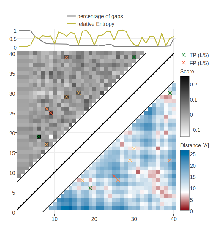 Contact maps for protein 1ss3A00 and 1c55A00 computed as APC corrected Frobenius norm of the pseudo-likelihood couplings. Contacts are defined according to a \(8 \angstrom \Cb\) distance cutoff. Left: predicted contact map and native distance map for protein 1ss3A00 (protein length=50, N=42, Neff=36). Right predicted contact map and native distance map for protein 1c55A00 (protein length = 40, N=115, Neff = 78).