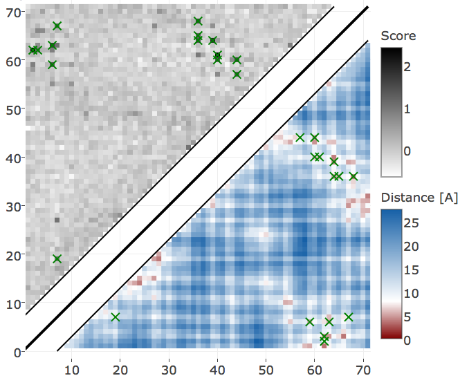 Contact maps predicted for protein 1c75A00. Upper left shows predicted contact map and lower right shows the native distance map. Contacts are defined according to a \(8 \angstrom \Cb\) distance cutoff and have been computed as APC corrected Frobenius norm of the couplings. Left Couplings computed from pseudo-likelihood. Right Couplings computed from CD.