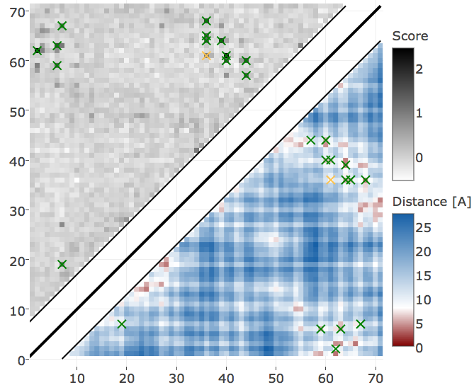 Contact maps predicted for protein 1c75A00. Upper left shows predicted contact map and lower right shows the native distance map. Contacts are defined according to a \(8 \angstrom \Cb\) distance cutoff and have been computed as APC corrected Frobenius norm of the couplings. Left Couplings computed from pseudo-likelihood. Right Couplings computed from CD.