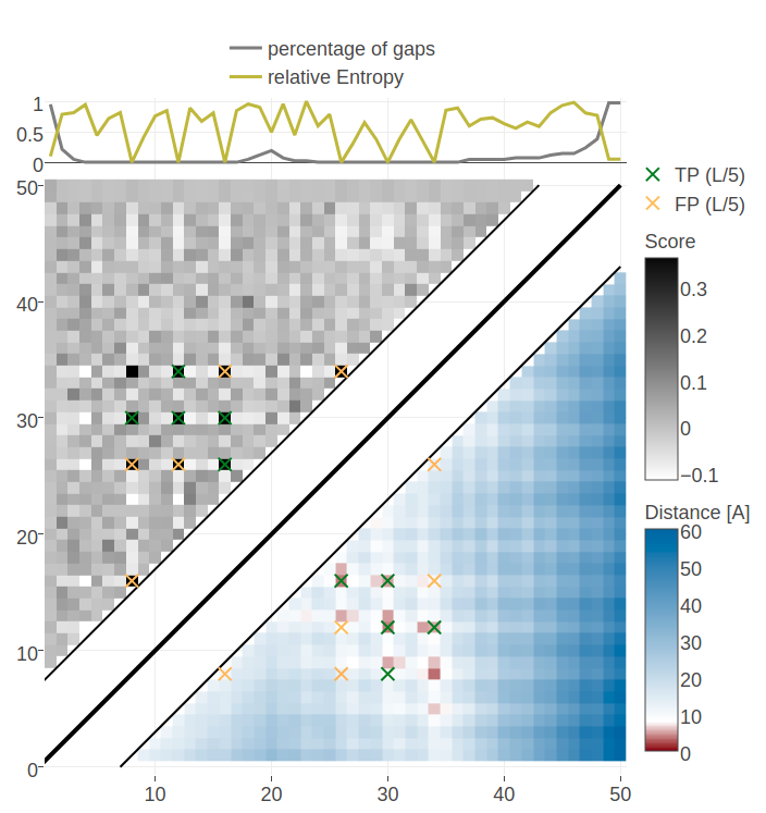 Contact maps and structures for protein 1ss3A00 and 1c55A00. Contact scores have been computed as APC corrected Frobenius norm of the CD couplings. Contacts are defined according to a \(8 \angstrom \Cb\) distance cutoff. Upper left: predicted contact map and native distance map for protein 1ss3A00 (protein length=50, N=42, Neff=36). Upper Right: native protein structure of 1ss3A00 with disulfide bonds between residues pairs (8, 34), (12, 30), (16, 26). Lower Left predicted contact map and native distance map for protein 1c55A00 (protein length=40, N=115, Neff=78) Lower Right native protein structure of 1c55A00 with disulfide bonds between residues pairs (10, 31), (16, 36), (20, 38).