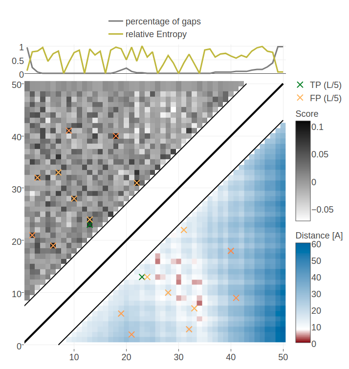 Contact maps for protein 1ss3A00 and 1c55A00 computed as APC corrected Frobenius norm of the pseudo-likelihood couplings. Contacts are defined according to a \(8 \angstrom \Cb\) distance cutoff. Left: predicted contact map and native distance map for protein 1ss3A00 (protein length=50, N=42, Neff=36). Right predicted contact map and native distance map for protein 1c55A00 (protein length = 40, N=115, Neff = 78).