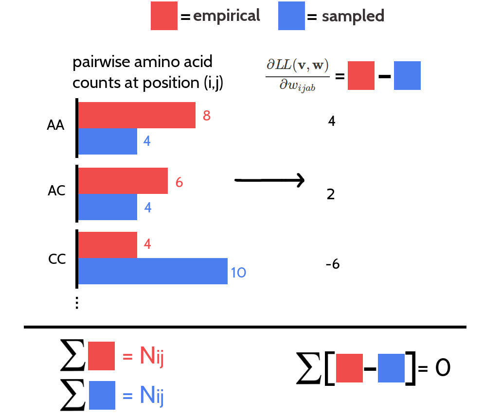 The 400 partial derivatives \(\frac{\partial \LLreg(\v^*,\w)}{\partial \wijab}\) at position \((i,j)\) for \(a,b \in \{1, \ldots, 20 \}\) are not independent. Red bars represent pairwise amino acid counts at position \((i,j)\) for the empirical alignment. Blue bars represent pairwise amino acid counts at position \((i,j)\) for the sampled alignment. The sum over pairwise amino acid counts at position \((i,j)\) for both alignments is \(N_{ij}\), which is the number of ungapped sequences. The partial derivative for \(\wijab\) is computed as the difference of pairwise amino acid counts for amino acids \(a\) and \(b\) at position \((i,j)\). The sum over the partial derivatives \(\frac{\partial \LLreg(\v^*,\w)}{\partial \wijab}\) at position \((i,j)\) for all \(a,b \in \{1, \ldots, 20 \}\) is zero.