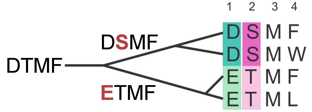 The phylogenetic dependence of closely related sequences can produce covariation signals. Here, two independent mutation events (highlighted in red) in two branches of the tree result in a perfect covariation signal for two positions.