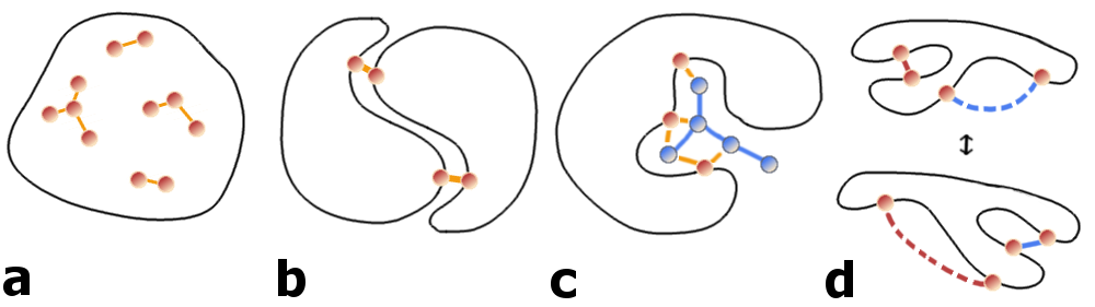 Possible sources of coevolutionary signals. a) Physical interactions between intra-domain residues. b) Interactions across the interface of predominantly homo-oligomeric complexes. c) Interactions mediated by ligands or metal atoms. d) Transient interactions due to conformational flexibility.